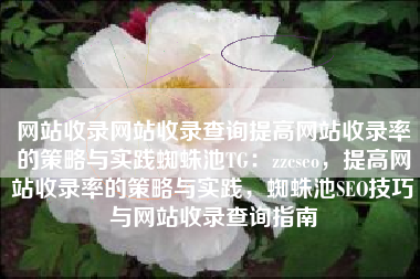 网站收录网站收录查询提高网站收录率的策略与实践蜘蛛池TG：zzcseo，提高网站收录率的策略与实践，蜘蛛池SEO技巧与网站收录查询指南