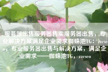 服务器出售服务器售卖服务器出售，专业解决方案满足企业需求蜘蛛池TG：zzcseo，专业服务器出售与解决方案，满足企业需求——蜘蛛池TG，zzcseo