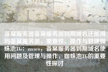 备案服务器备案服务器到期域名还能用吗备案服务器，重要性、操作与管理蜘蛛池TG：zzcseo，备案服务器到期域名使用问题及管理与操作，蜘蛛池TG的重要性探讨