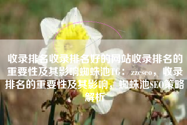 收录排名收录排名好的网站收录排名的重要性及其影响蜘蛛池TG：zzcseo，收录排名的重要性及其影响，蜘蛛池SEO策略解析