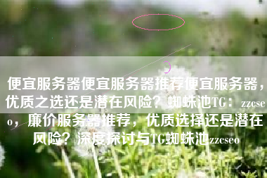 便宜服务器便宜服务器推荐便宜服务器，优质之选还是潜在风险？蜘蛛池TG：zzcseo，廉价服务器推荐，优质选择还是潜在风险？深度探讨与TG蜘蛛池zzcseo