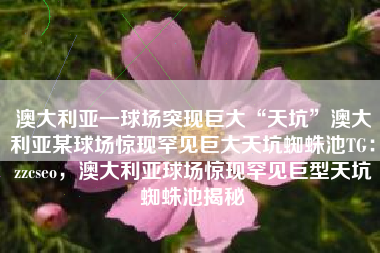 澳大利亚一球场突现巨大“天坑”澳大利亚某球场惊现罕见巨大天坑蜘蛛池TG：zzcseo，澳大利亚球场惊现罕见巨型天坑蜘蛛池揭秘