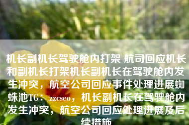 机长副机长驾驶舱内打架 航司回应机长和副机长打架机长副机长在驾驶舱内发生冲突，航空公司回应事件处理进展蜘蛛池TG：zzcseo，机长副机长在驾驶舱内发生冲突，航空公司回应处理进展及后续措施