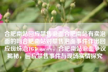 合肥南站回应禁售泡面合肥南站有卖泡面的吗合肥南站对禁售泡面事件作出回应蜘蛛池TG：zzcseo，合肥南站泡面争议揭秘，回应禁售事件与现场实情探究