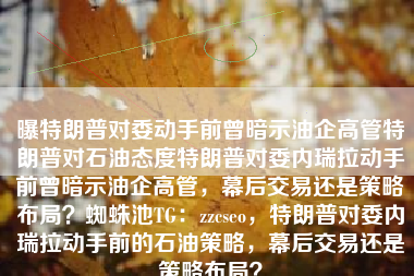 曝特朗普对委动手前曾暗示油企高管特朗普对石油态度特朗普对委内瑞拉动手前曾暗示油企高管，幕后交易还是策略布局？蜘蛛池TG：zzcseo，特朗普对委内瑞拉动手前的石油策略，幕后交易还是策略布局？