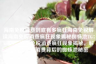 海南免税消费到底有多疯狂海南免税解读海南免税消费疯狂现象揭秘蜘蛛池TG：zzcseo，海南免税消费疯狂现象揭秘，解读海南免税消费背后的蜘蛛池秘密