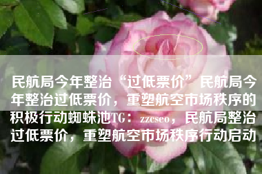 民航局今年整治“过低票价”民航局今年整治过低票价，重塑航空市场秩序的积极行动蜘蛛池TG：zzcseo，民航局整治过低票价，重塑航空市场秩序行动启动