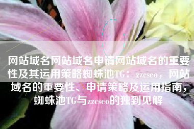 网站域名网站域名申请网站域名的重要性及其运用策略蜘蛛池TG：zzcseo，网站域名的重要性、申请策略及运用指南，蜘蛛池TG与zzcseo的独到见解