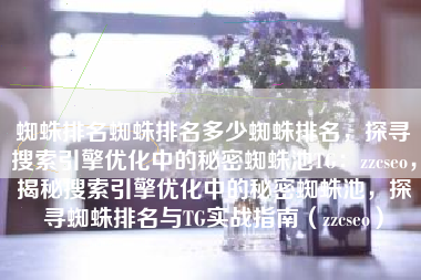 蜘蛛排名蜘蛛排名多少蜘蛛排名，探寻搜索引擎优化中的秘密蜘蛛池TG：zzcseo，揭秘搜索引擎优化中的秘密蜘蛛池，探寻蜘蛛排名与TG实战指南（zzcseo）