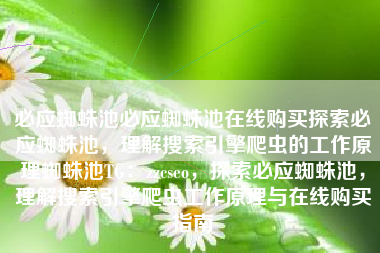 必应蜘蛛池必应蜘蛛池在线购买探索必应蜘蛛池，理解搜索引擎爬虫的工作原理蜘蛛池TG：zzcseo，探索必应蜘蛛池，理解搜索引擎爬虫工作原理与在线购买指南