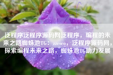 泛程序泛程序源码网泛程序，编程的未来之路蜘蛛池TG：zzcseo，泛程序源码网，探索编程未来之路，蜘蛛池TG助力发展