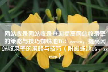网站收录网站收录查询提高网站收录率的策略与技巧蜘蛛池TG：zzcseo，提高网站收录率的策略与技巧（附蜘蛛池TG，zzcseo）