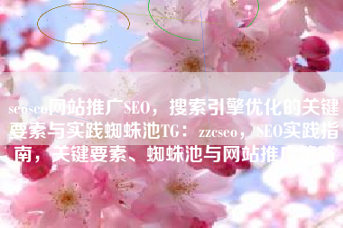 seoseo网站推广SEO，搜索引擎优化的关键要素与实践蜘蛛池TG：zzcseo，SEO实践指南，关键要素、蜘蛛池与网站推广策略