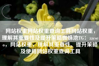 网站权重网站权重查询工具网站权重，理解其重要性及提升策略蜘蛛池TG：zzcseo，网站权重，理解其重要性、提升策略及使用网站权重查询工具
