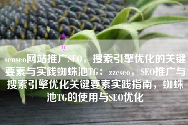 seoseo网站推广SEO，搜索引擎优化的关键要素与实践蜘蛛池TG：zzcseo，SEO推广与搜索引擎优化关键要素实践指南，蜘蛛池TG的使用与SEO优化