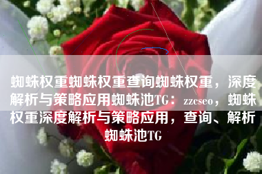 蜘蛛权重蜘蛛权重查询蜘蛛权重，深度解析与策略应用蜘蛛池TG：zzcseo，蜘蛛权重深度解析与策略应用，查询、解析蜘蛛池TG