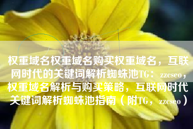 权重域名权重域名购买权重域名，互联网时代的关键词解析蜘蛛池TG：zzcseo，权重域名解析与购买策略，互联网时代关键词解析蜘蛛池指南（附TG，zzcseo）