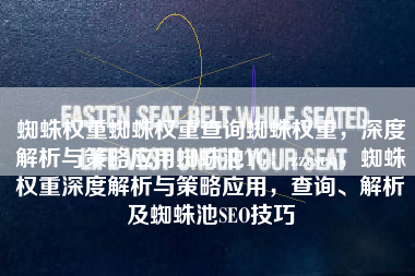 蜘蛛权重蜘蛛权重查询蜘蛛权重，深度解析与策略应用蜘蛛池TG：zzcseo，蜘蛛权重深度解析与策略应用，查询、解析及蜘蛛池SEO技巧