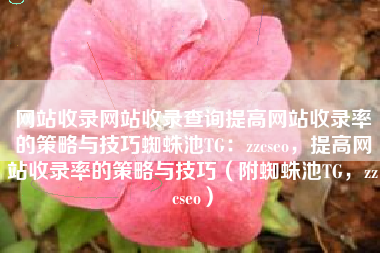 网站收录网站收录查询提高网站收录率的策略与技巧蜘蛛池TG：zzcseo，提高网站收录率的策略与技巧（附蜘蛛池TG，zzcseo）