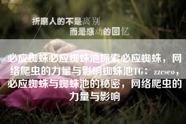 必应蜘蛛必应蜘蛛池探索必应蜘蛛，网络爬虫的力量与影响蜘蛛池TG：zzcseo，必应蜘蛛与蜘蛛池的秘密，网络爬虫的力量与影响