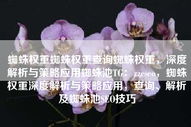蜘蛛权重蜘蛛权重查询蜘蛛权重，深度解析与策略应用蜘蛛池TG：zzcseo，蜘蛛权重深度解析与策略应用，查询、解析及蜘蛛池SEO技巧