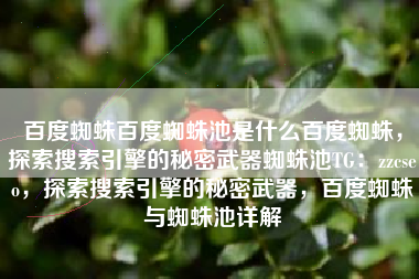 百度蜘蛛百度蜘蛛池是什么百度蜘蛛，探索搜索引擎的秘密武器蜘蛛池TG：zzcseo，探索搜索引擎的秘密武器，百度蜘蛛与蜘蛛池详解