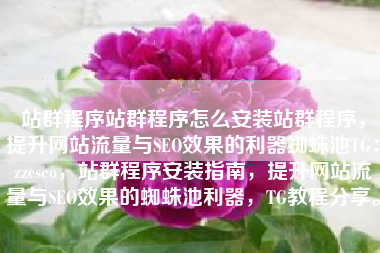 站群程序站群程序怎么安装站群程序，提升网站流量与SEO效果的利器蜘蛛池TG：zzcseo，站群程序安装指南，提升网站流量与SEO效果的蜘蛛池利器，TG教程分享。