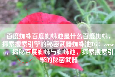 百度蜘蛛百度蜘蛛池是什么百度蜘蛛，探索搜索引擎的秘密武器蜘蛛池TG：zzcseo，揭秘百度蜘蛛与蜘蛛池，探索搜索引擎的秘密武器