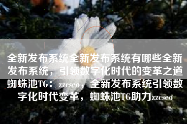 全新发布系统全新发布系统有哪些全新发布系统，引领数字化时代的变革之道蜘蛛池TG：zzcseo，全新发布系统引领数字化时代变革，蜘蛛池TG助力zzcseo