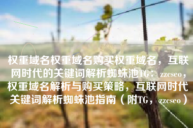 权重域名权重域名购买权重域名，互联网时代的关键词解析蜘蛛池TG：zzcseo，权重域名解析与购买策略，互联网时代关键词解析蜘蛛池指南（附TG，zzcseo）