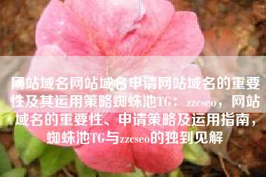 网站域名网站域名申请网站域名的重要性及其运用策略蜘蛛池TG：zzcseo，网站域名的重要性、申请策略及运用指南，蜘蛛池TG与zzcseo的独到见解