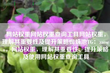 网站权重网站权重查询工具网站权重，理解其重要性及提升策略蜘蛛池TG：zzcseo，网站权重，理解其重要性、提升策略及使用网站权重查询工具