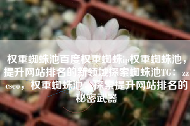 权重蜘蛛池百度权重蜘蛛ip权重蜘蛛池，提升网站排名的新领域探索蜘蛛池TG：zzcseo，权重蜘蛛池，探索提升网站排名的秘密武器