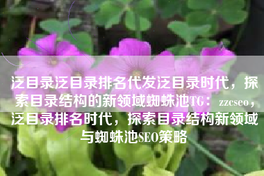 泛目录泛目录排名代发泛目录时代，探索目录结构的新领域蜘蛛池TG：zzcseo，泛目录排名时代，探索目录结构新领域与蜘蛛池SEO策略