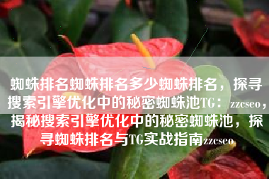 蜘蛛排名蜘蛛排名多少蜘蛛排名，探寻搜索引擎优化中的秘密蜘蛛池TG：zzcseo，揭秘搜索引擎优化中的秘密蜘蛛池，探寻蜘蛛排名与TG实战指南zzcseo