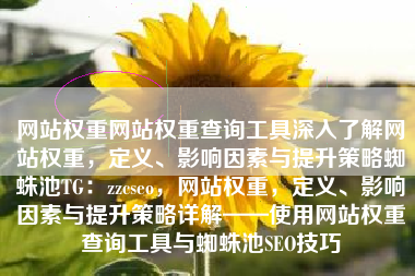 网站权重网站权重查询工具深入了解网站权重，定义、影响因素与提升策略蜘蛛池TG：zzcseo，网站权重，定义、影响因素与提升策略详解——使用网站权重查询工具与蜘蛛池SEO技巧