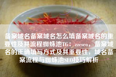 备案域名备案域名怎么填备案域名的重要性及其流程蜘蛛池TG：zzcseo，备案域名的正确填写方式及其重要性，域名备案流程与蜘蛛池SEO技巧解析