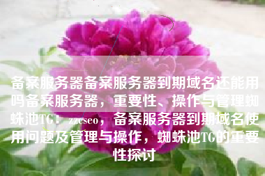 备案服务器备案服务器到期域名还能用吗备案服务器，重要性、操作与管理蜘蛛池TG：zzcseo，备案服务器到期域名使用问题及管理与操作，蜘蛛池TG的重要性探讨