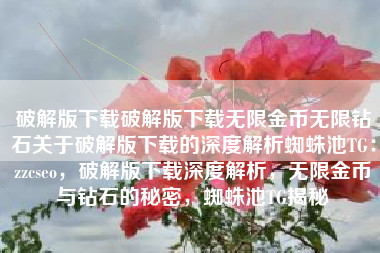 破解版下载破解版下载无限金币无限钻石关于破解版下载的深度解析蜘蛛池TG：zzcseo，破解版下载深度解析，无限金币与钻石的秘密，蜘蛛池TG揭秘