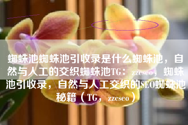 蜘蛛池蜘蛛池引收录是什么蜘蛛池，自然与人工的交织蜘蛛池TG：zzcseo，蜘蛛池引收录，自然与人工交织的SEO蜘蛛池秘籍（TG，zzcseo）