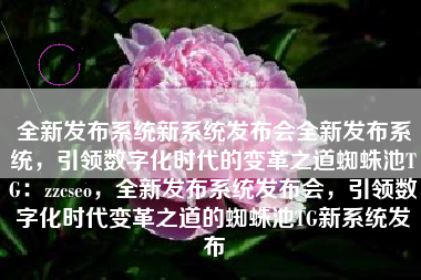 全新发布系统新系统发布会全新发布系统，引领数字化时代的变革之道蜘蛛池TG：zzcseo，全新发布系统发布会，引领数字化时代变革之道的蜘蛛池TG新系统发布