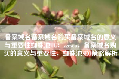 备案域名备案域名购买备案域名的意义与重要性蜘蛛池TG：zzcseo，备案域名购买的意义与重要性，蜘蛛池SEO策略解析