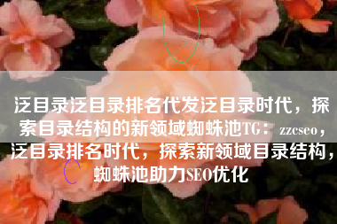 泛目录泛目录排名代发泛目录时代，探索目录结构的新领域蜘蛛池TG：zzcseo，泛目录排名时代，探索新领域目录结构，蜘蛛池助力SEO优化