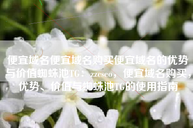 便宜域名便宜域名购买便宜域名的优势与价值蜘蛛池TG：zzcseo，便宜域名购买，优势、价值与蜘蛛池TG的使用指南