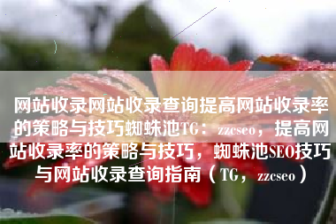 网站收录网站收录查询提高网站收录率的策略与技巧蜘蛛池TG：zzcseo，提高网站收录率的策略与技巧，蜘蛛池SEO技巧与网站收录查询指南（TG，zzcseo）