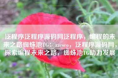 泛程序泛程序源码网泛程序，编程的未来之路蜘蛛池TG：zzcseo，泛程序源码网，探索编程未来之路，蜘蛛池TG助力发展