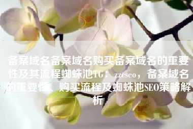 备案域名备案域名购买备案域名的重要性及其流程蜘蛛池TG：zzcseo，备案域名的重要性、购买流程及蜘蛛池SEO策略解析