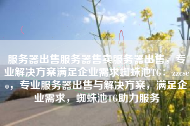 服务器出售服务器售卖服务器出售，专业解决方案满足企业需求蜘蛛池TG：zzcseo，专业服务器出售与解决方案，满足企业需求，蜘蛛池TG助力服务