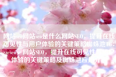网站seo网站seo是什么网站SEO，提升在线可见性与用户体验的关键策略蜘蛛池TG：zzcseo，网站SEO，提升在线可见性与用户体验的关键策略及蜘蛛池应用介绍