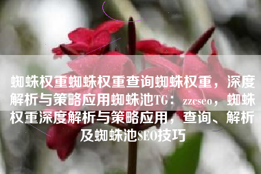 蜘蛛权重蜘蛛权重查询蜘蛛权重，深度解析与策略应用蜘蛛池TG：zzcseo，蜘蛛权重深度解析与策略应用，查询、解析及蜘蛛池SEO技巧